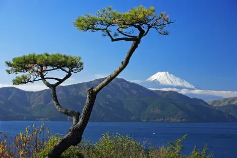 vol+hotel Circuit CIRCUIT COMBINE JAPON-COREE, LES TROIS CITES LEGENDAIRES Japon Tokyo