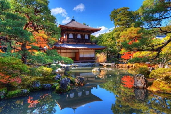 Japon : Circuit Tokyo