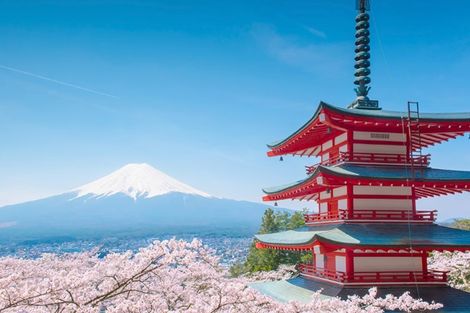 Japon-Tokyo, Circuit Immersion en Terres Japonaises