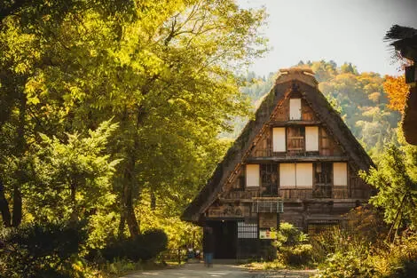 vol+hotel Circuit Sur les chemins secrets des Alpes Japonaises Non référencé Japon Tokyo