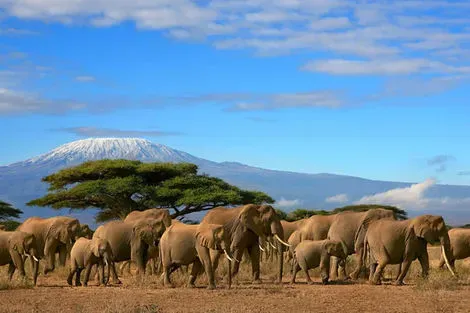 vol+hotel Circuit Combiné Kenya et Tanzanie Non référencé Kenya Nairobi
