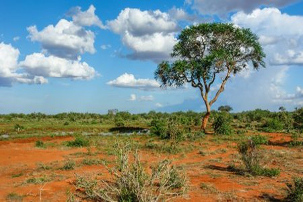 Kenya : Circuit Merveilles du Kenya Samburu - Limité à 6 pers./véhicule