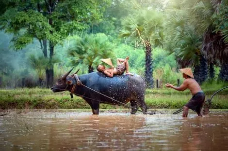 Laos-Luang Prabang, Circuit Grand tour d'Indochine 3*