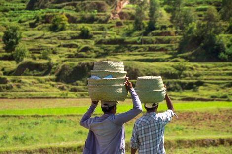 Madagascar-Antananarivo, Circuit Splendeurs de Madagascar