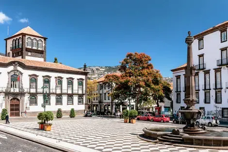 Madère : Circuit Madère Authentique : entre falaises et levadas