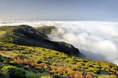Madère-Funchal, Circuit Caniçal Saveur Nature 5*