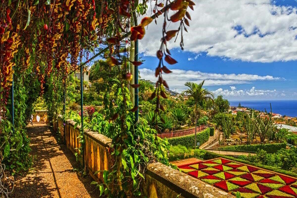 Madère : Circuit Echappée Jardins de Madère depuis le Cabo Girão