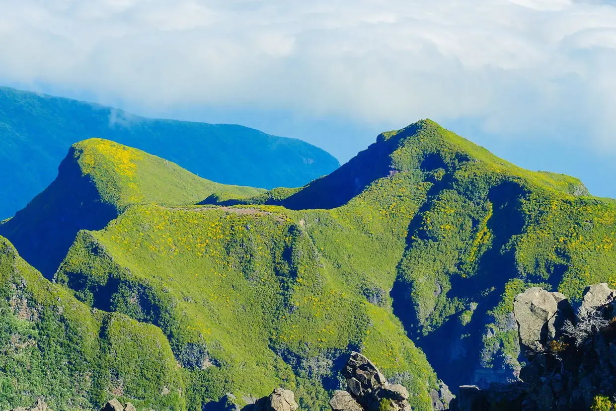 Madère : Circuit Nature et traditions, extension 7 nuits au Pestana Casino Park Premium Ocean & Spa