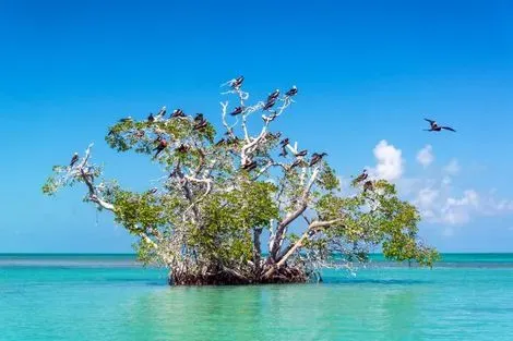 Mexique-Cancun, Circuit FRAM Découverte Maya et plage des Caraïbes 4*