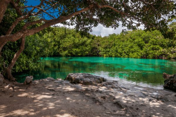 Mexique : Circuit Echappée Mexicaine Classique depuis l'hôtel Bahia Principe Grand Coba