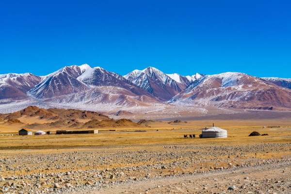 Mongolie : Circuit Au pays des Nomades