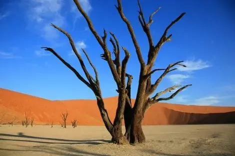 Namibie-Windhoek, Circuit Couleurs de Namibie 3*