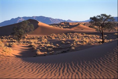 Namibie-Windhoek, Circuit Impressions de Namibie + Fish River