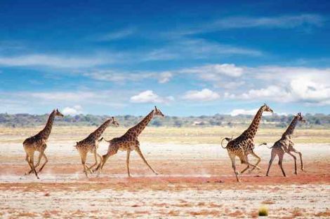 Namibie-Windhoek, Circuit Impressions de Namibie