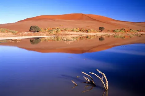Namibie-Windhoek, Circuit Les Incontournables de la Namibie : entre Désert et Safari