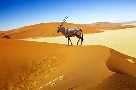 vol+hotel Circuit SPLENDEURS DE NAMIBIE & EXTENSION CHUTES VICTORIA Namibie Windhoek