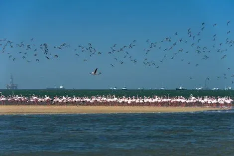 Namibie : Circuit Splendeurs de Namibie & Séjour Fish River Canyon & Chutes Victoria - 2026