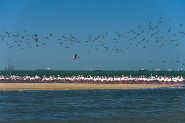 Namibie : Circuit Splendeurs de Namibie & Séjour Fish River Canyon & Chutes Victoria - Limité à 22 pers.