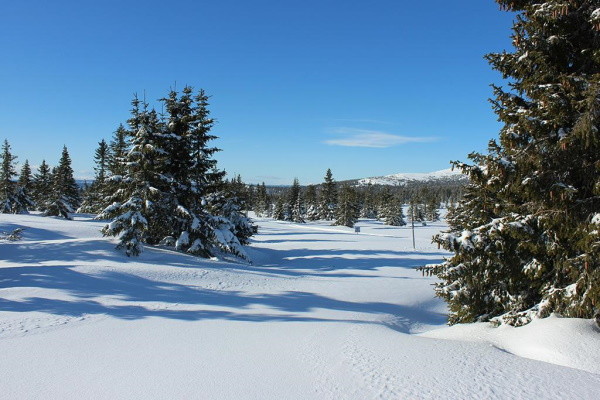 Norvege : Circuit Magie des Fjords