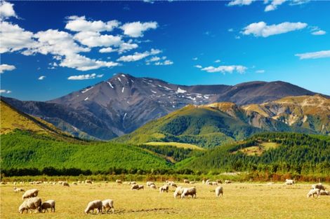 Nouvelle Zelande-Auckland, Circuit Nuances Neo-Zelandaises 3*/4*
