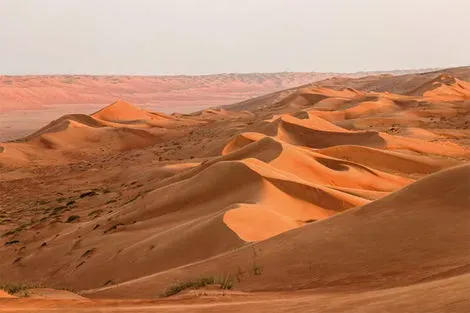 vol+hotel Circuit LE SULTANAT D'OMAN, L'ARABIE HEUREUSE Oman Mascate