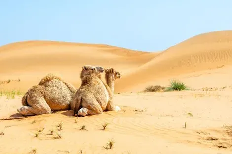 vol+hotel Circuit OMAN EN TOUTE LIBERTÉ : HOTEL WYNDHAM GARDEN 4* Oman Mascate