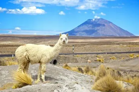 Perou-Lima, Circuit Splendeurs du Pérou & Extension Nazca