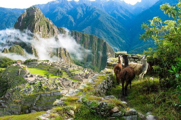 Perou : Circuit Douceurs au Pays des Incas & Séjour Amazonie - Limité à 24 pers.