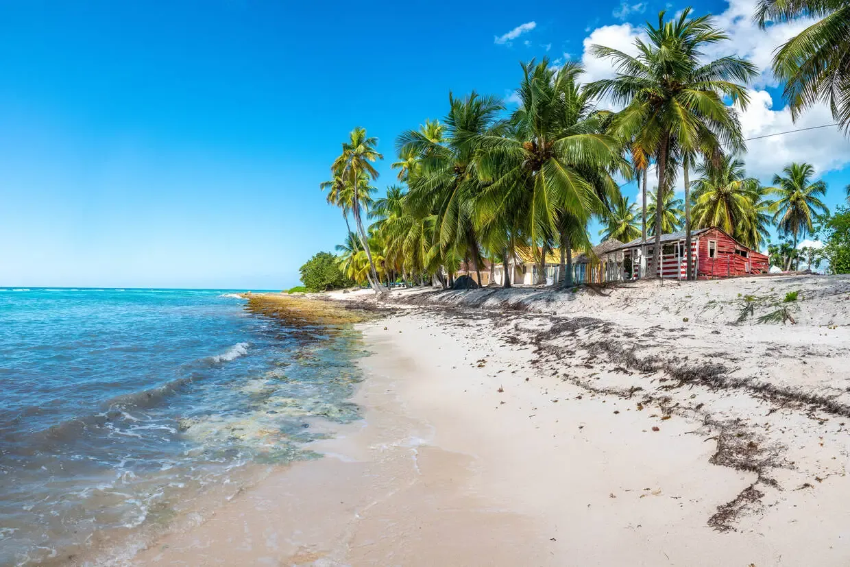 République Dominicaine : Club Escapades au Cœur des Caraïbes, logement au Framissima Catalonia Bavaro