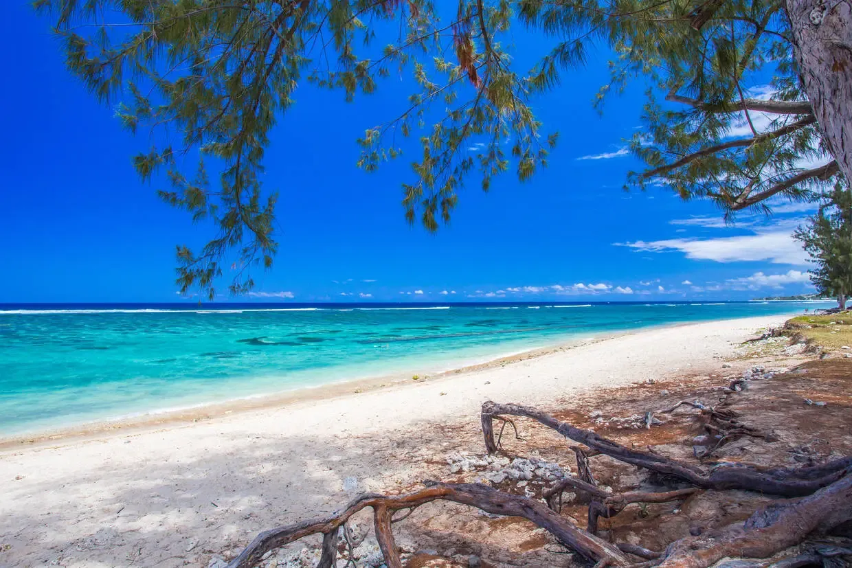 Reunion : Circuit Intense Réunion logement au Nautile Beach