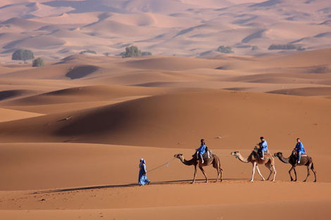 Senegal-Dakar, Circuit Mythes & Charmes du Sénégal- 4 sites UNESCO 3*