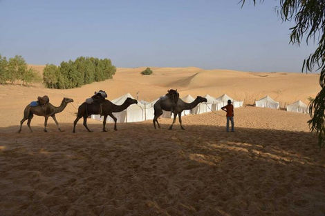 Senegal-Dakar, Circuit Sénégal Hors sentiers battus 4X4 3*