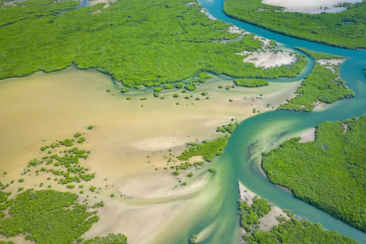 Senegal : Circuit Au coeur du Sénégal et ses mangroves