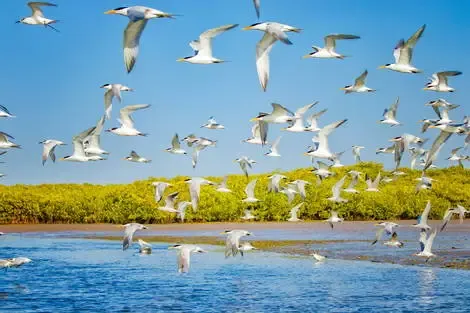 Senegal : Circuit Les Oasis du Sénégal