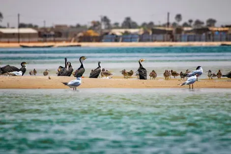vol+hotel Circuit Sénégal, entre savane et plage du Framissima Palm Beach 4* Senegal Dakar