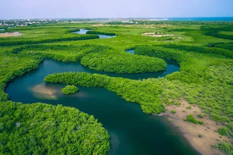 vol+hotel Circuit Sud Sénégal, entre Gambie et Casamance Senegal Dakar