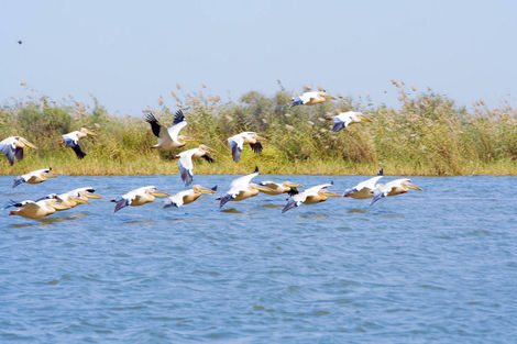 Senegal-Dakar, Circuit FRAM Découverte du Sine-Saloum