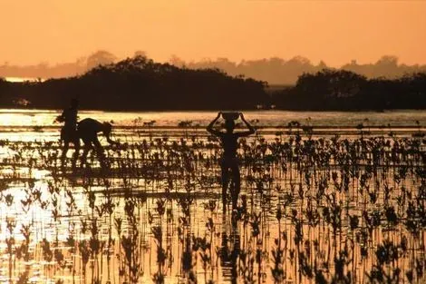 Senegal-Dakar, Circuit Les Mangroves