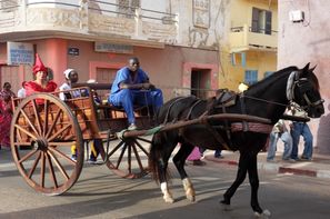 Senegal-Dakar, Circuit Les Chefferies du Sénégal - 6 sites UNESCO
