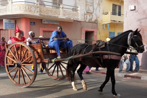 Senegal-Dakar, Circuit Les Chefferies du Sénégal - 6 sites UNESCO