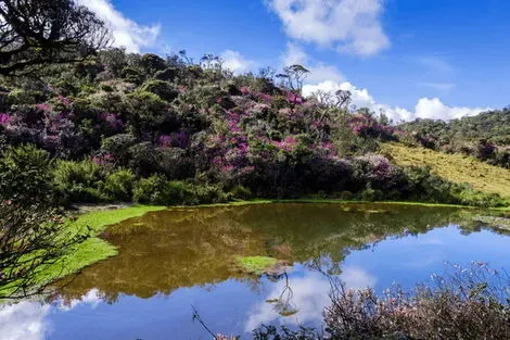 Sri Lanka : Circuit Aventure Sri Lankaise et Plage à Weligama en Privatif