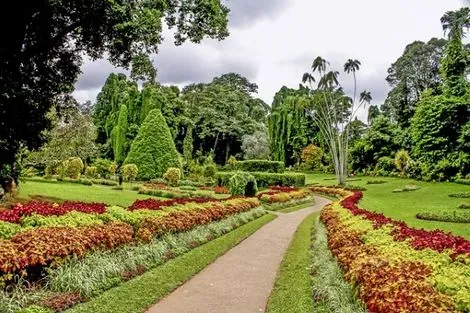 vol+hotel Circuit MERVEILLES DU SRI LANKA - Limité à 24 pers. Sri Lanka Colombo