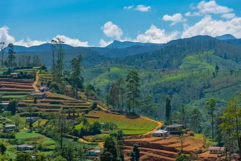 Sri Lanka : Circuit Splendeurs Insolites de Ceylan (privatif)