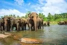Sri Lanka Sri Lanka