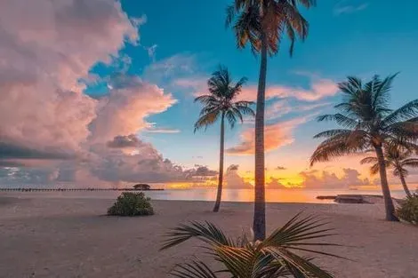Sri Lanka : Circuit Des Merveilles du Sri Lanka aux plages des Maldives en privatif