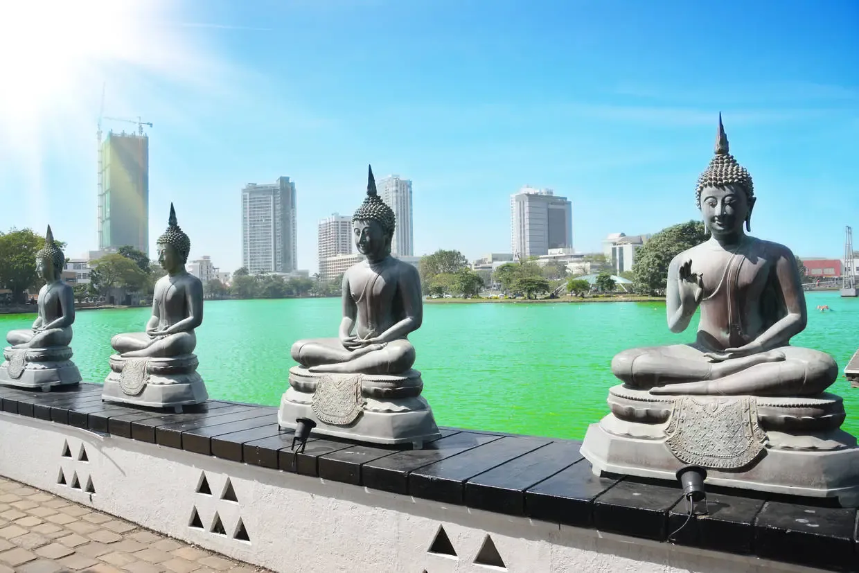 Sri Lanka : Circuit Sri Lanka : L'Ile Merveilleuse