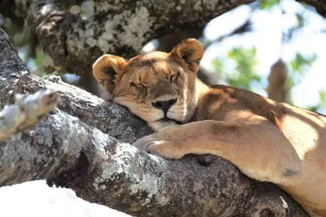 Tanzanie : Circuit Couleurs de Tanzanie -