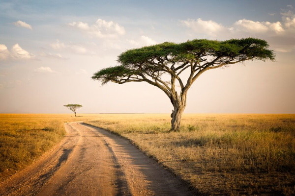 Tanzanie : Circuit Escapade en Terre Sauvage