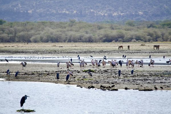 Tanzanie : Circuit Immersion en Tanzanie - Limité à 6 pers./véhicule