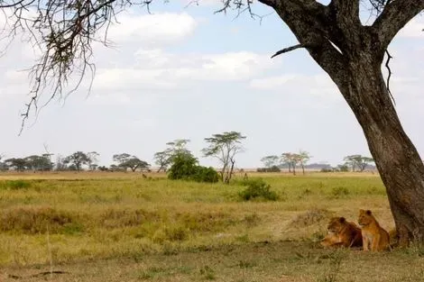 Tanzanie-Kilimanjaro, Circuit Splendeurs de Tanzanie